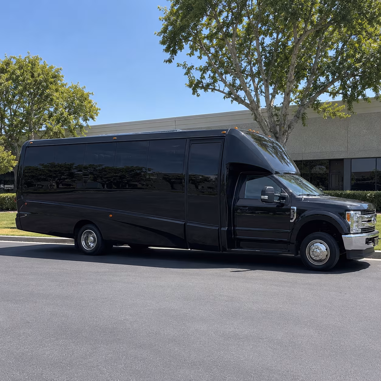 night out party bus rental